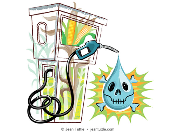 The Risks of Ethanol